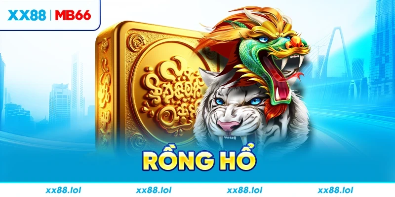 rồng hổ